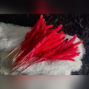 Pampas Grass Feathers RED 40pcs Bundle